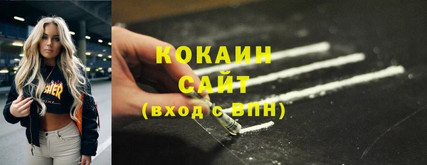 гидра Богородск