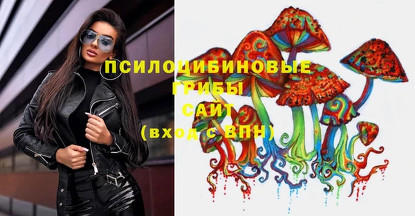 марки lsd Богородицк
